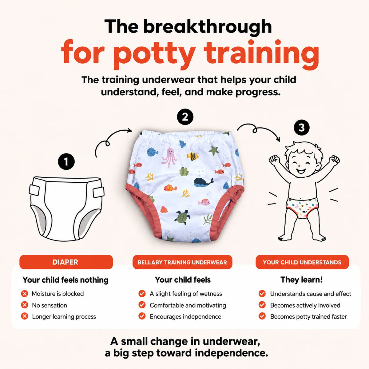 Potty Training Pants