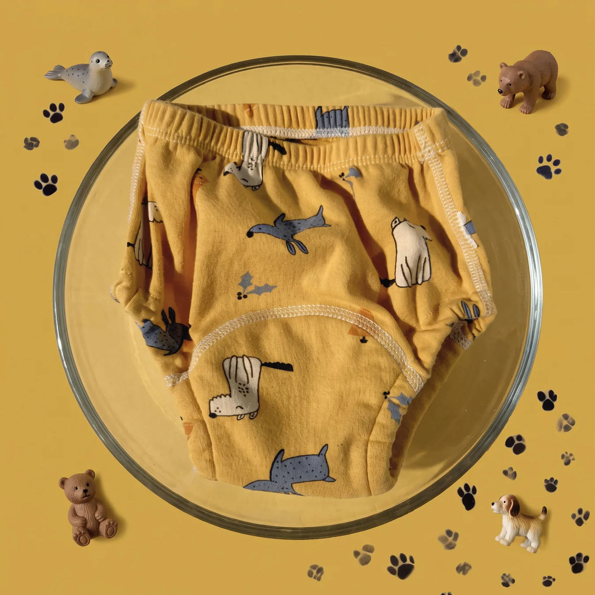 Potty Training Pants