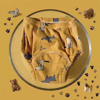Potty Training Pants